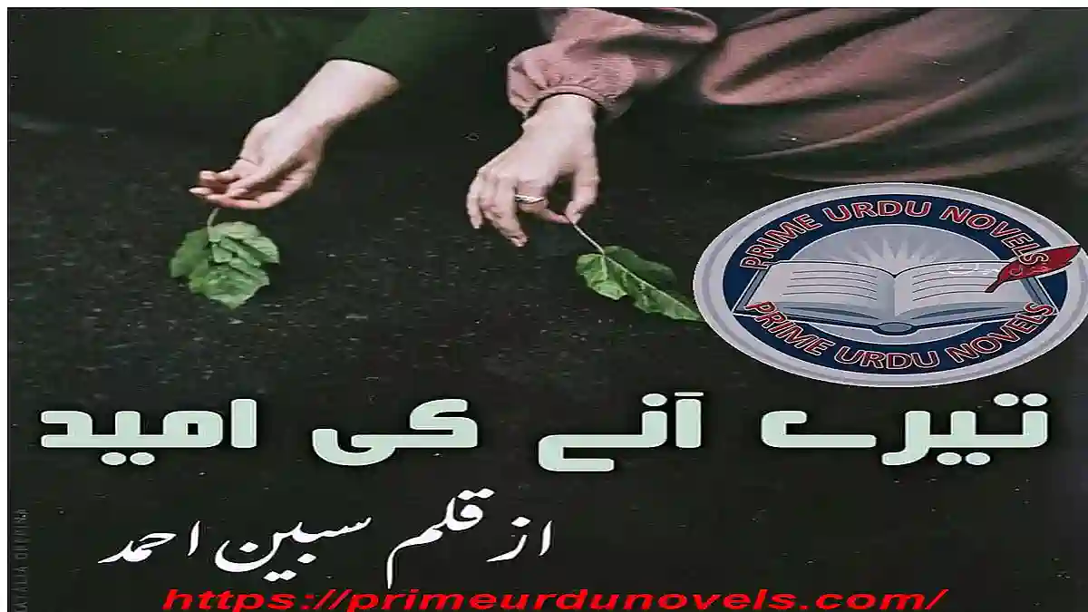 Tere any ki umeed by Sabeen Ahmed Complete