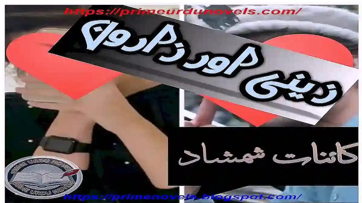 Zaini aur zaroon by Kainat Shamshad Complete free pdf