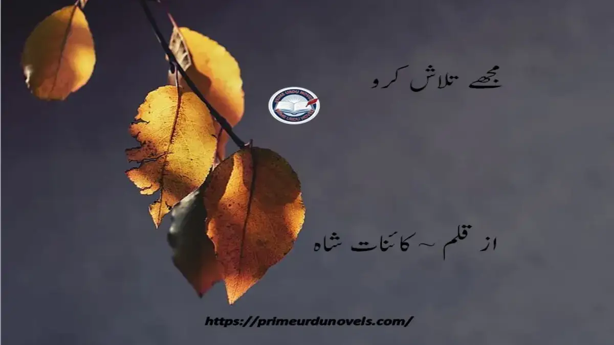 Mujhe Talash Kro by Kaynat Shah