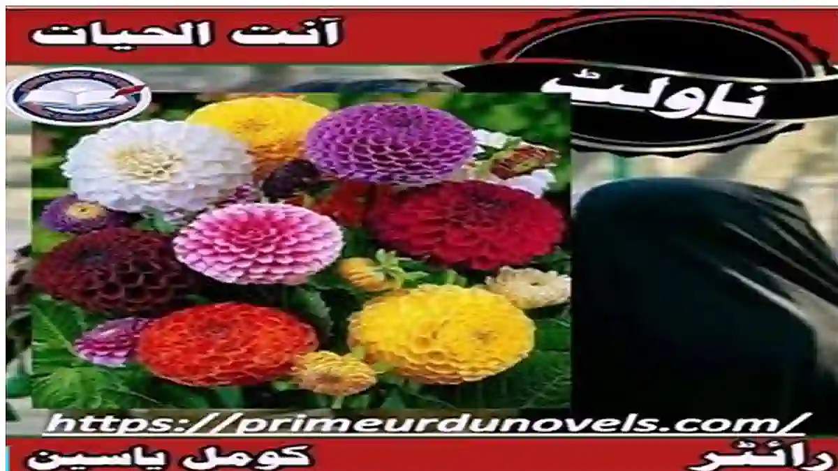 Antal Hayat novellette by Komal Yaseen Complete