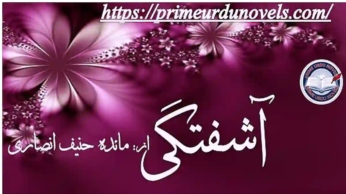 Ashaftagi short novel by Maida Hanif Ansari Complete download pdf