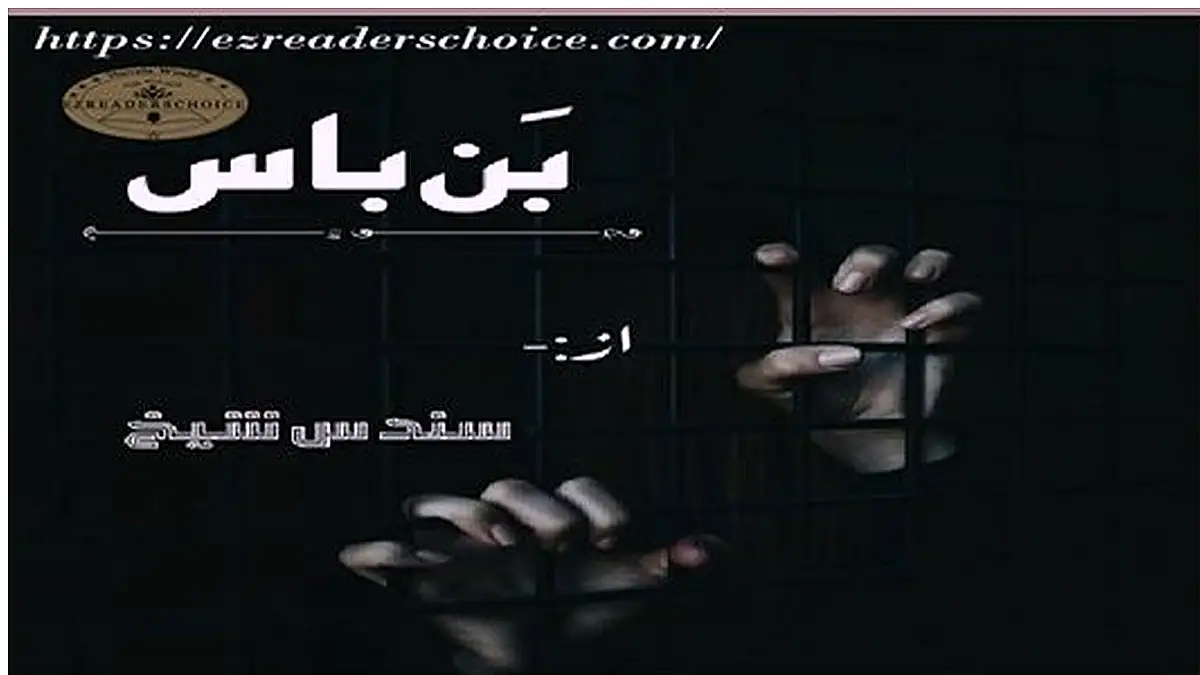 Bin bass novel by Sundas Sheikh
