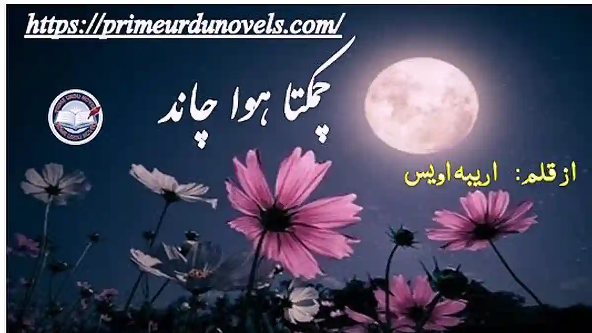 Chamakta hua chand by Areeba Awais Complete novel