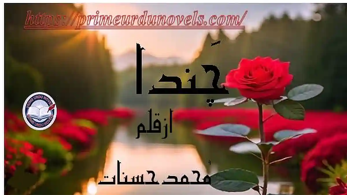 Chanda novel by Muhammad Hasnaat