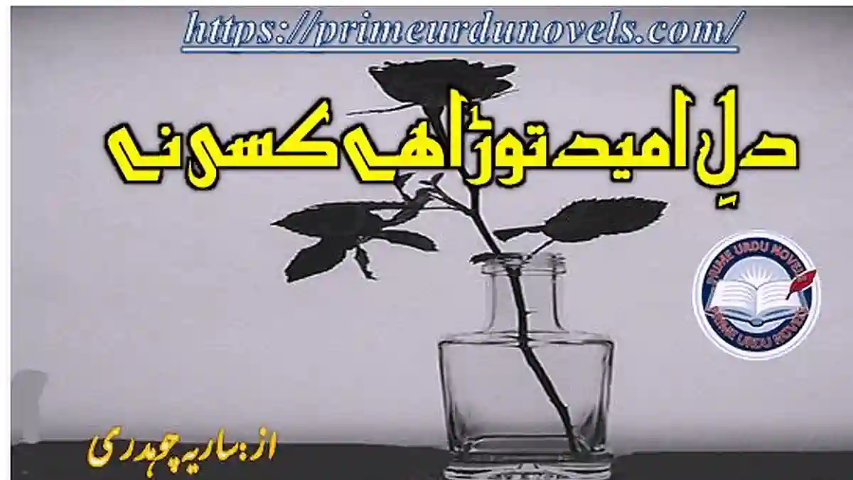 Dil e umeed tora hai kisi ne short novel by Saria Chaudhary Complete