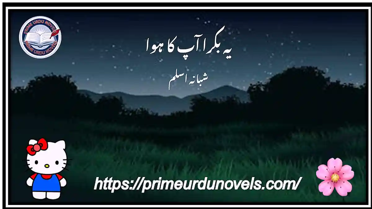 Yeh bakra ap ka hoa short novel by Shabana Aslam Complete