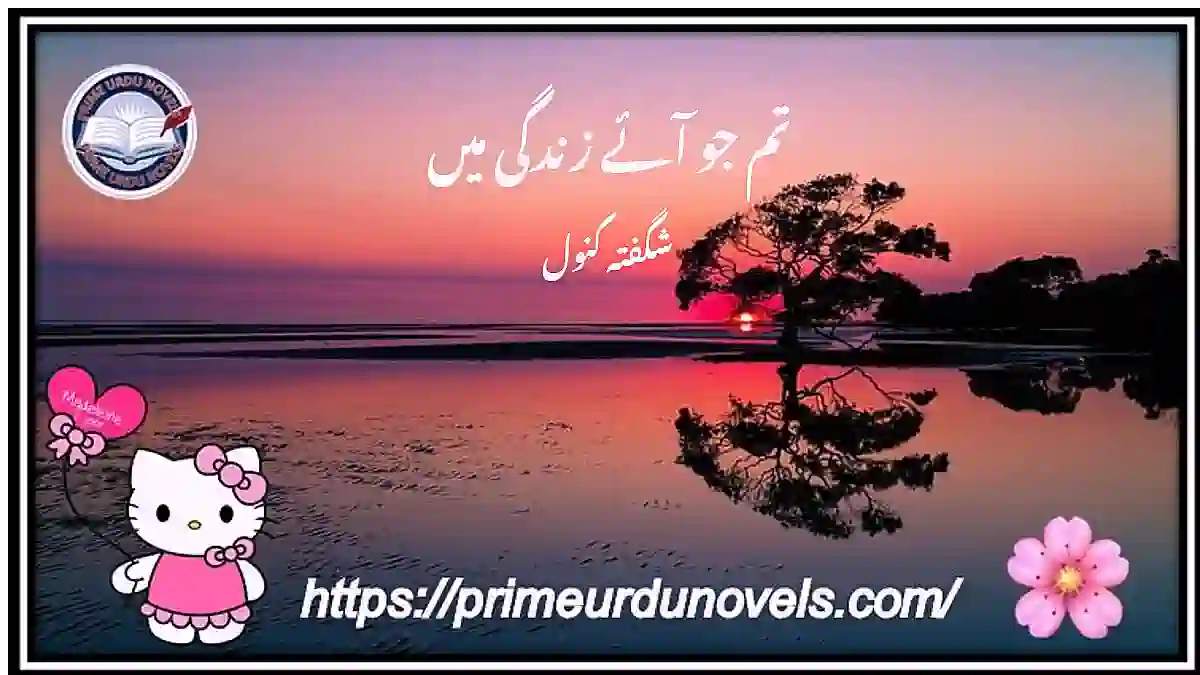 Tum jo aaye zindagi mein Season 2 by Shagufta Kanwal Complete