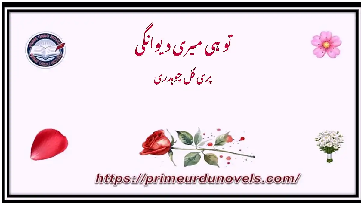 Tu hi meri dewangi by Pari Gul Choudhary Youtube Novels Project
