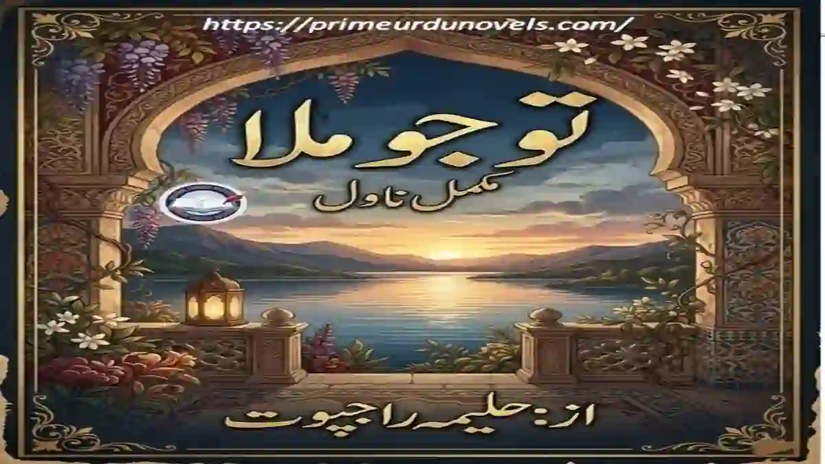 Tu Jo Mila by Halima Rajpoot title image