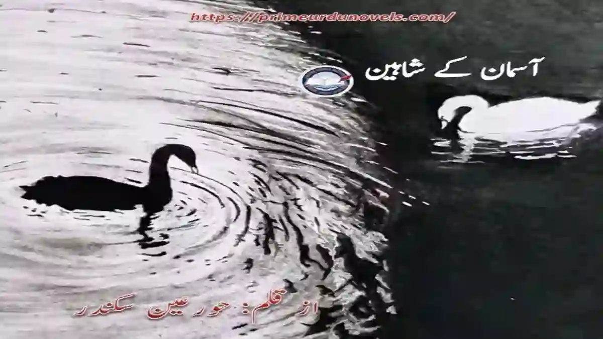 Aasman kay shaheen by Hurain Sikander title image