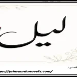 Lail by Wania Maqsood title image