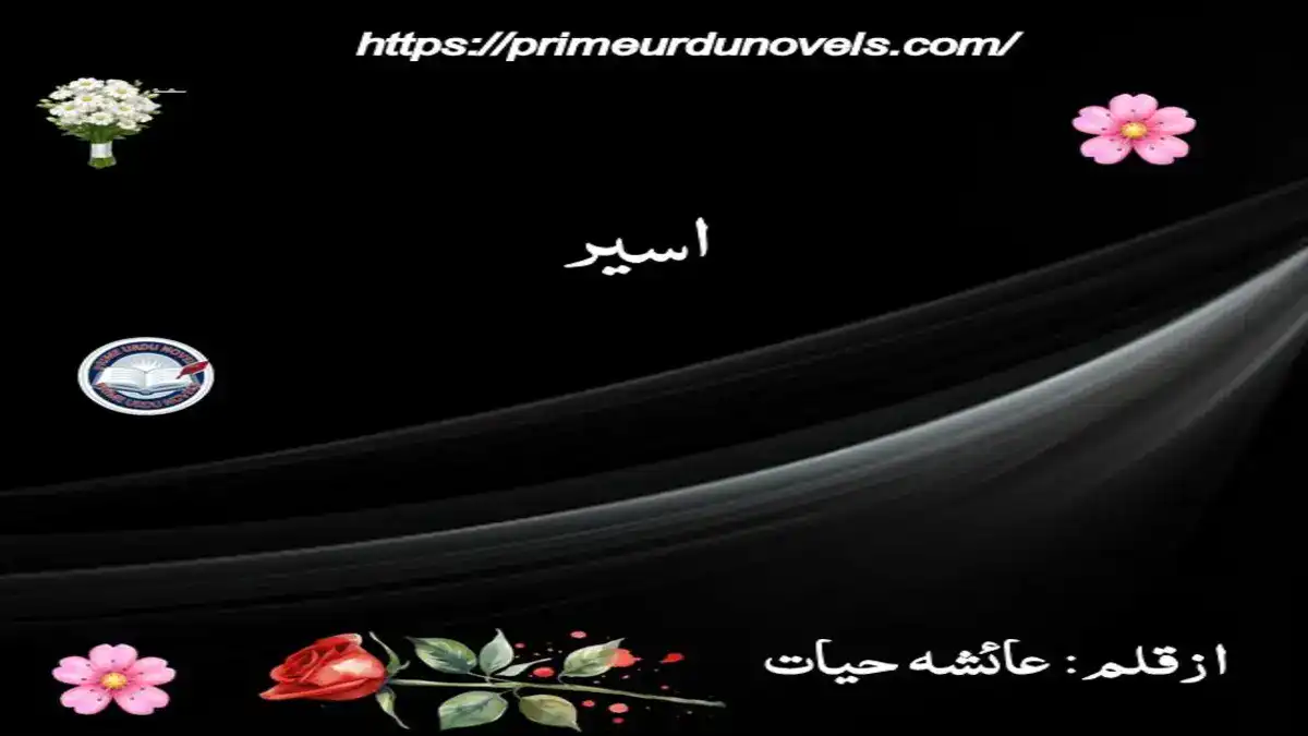 Aseer by Ayesha Hayat title image