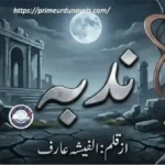 NUDBA by Alfisha Arif title image