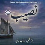 Naseeb by Zainab Zahid title image