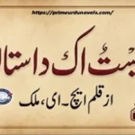 Zeest ek dastan by H.E. Malik title image