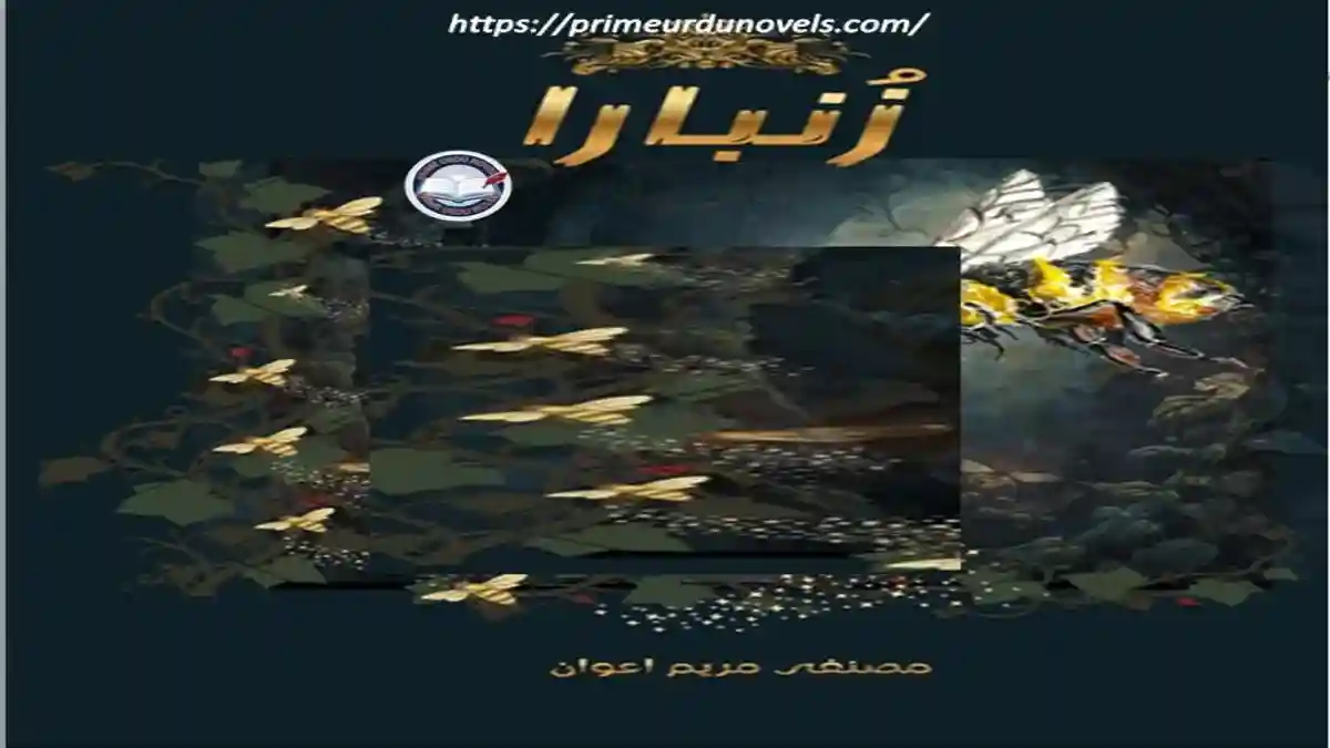 Zunbara by Maryam Awan title image