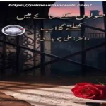 Usoolon ke Saaye Mein Khilte Gulab by Ali Chaudhry title image