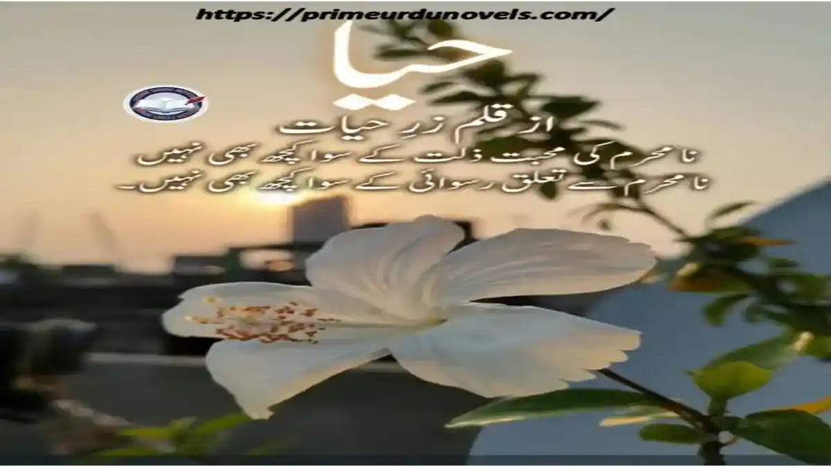 Haya by Zar Hayat title image