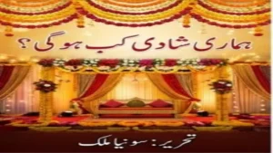 Meri shadi kab hogi by Sonia Malik Download pdf