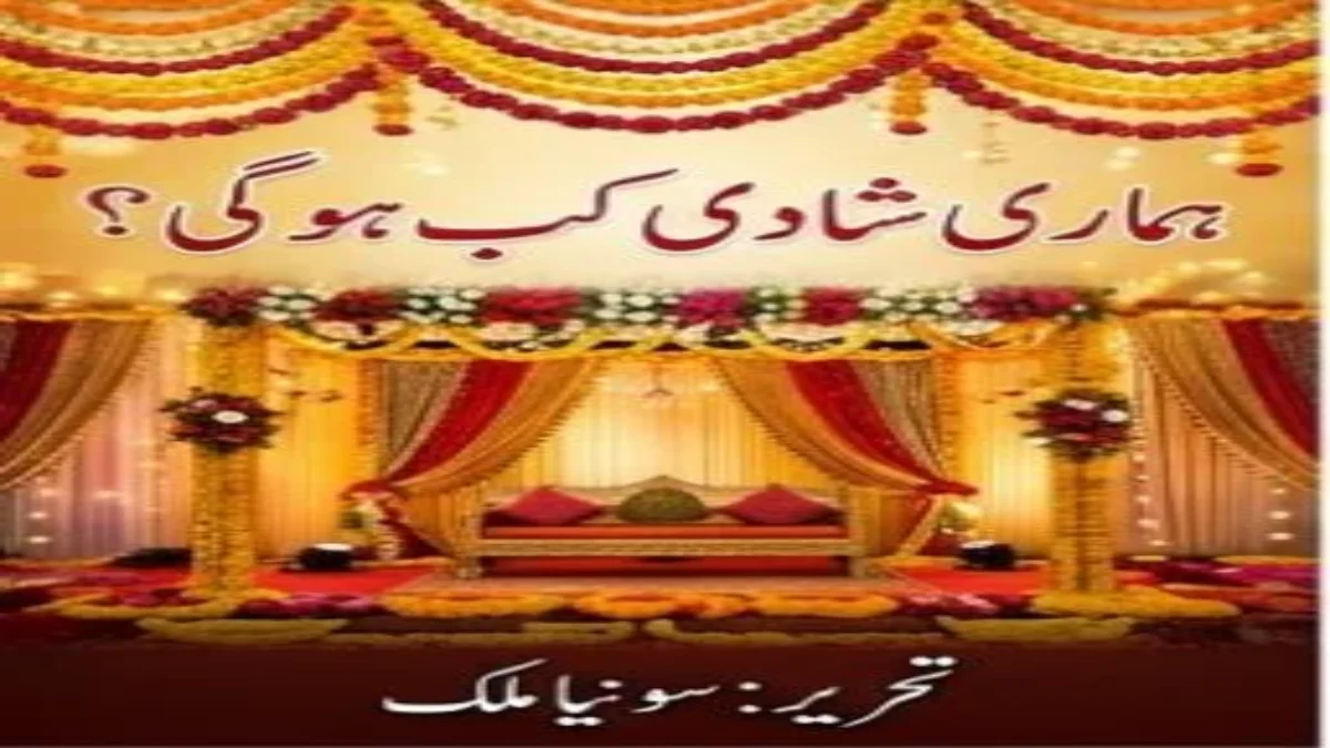 Meri shadi kab hogi by Sonia Malik title image