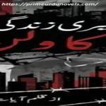 Meri zindagi ka vilan by Ayat Haidar title image
