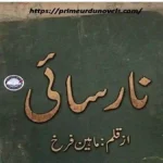 Narsai by Maheen Farrukh title image
