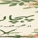 Pehchan by Rashk e Hina title image