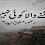 Sun'ny wala koi nahi by Tuba Zia title image